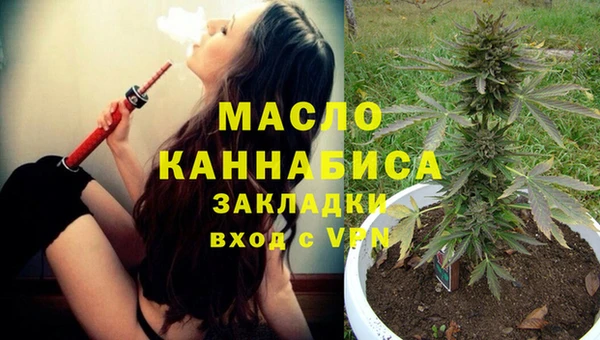 шишки Арсеньев